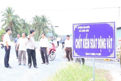 Long An mạnh tay mua 7 máy thông minh giết heo để phòng dịch tả