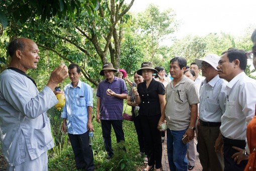 Làm du lịch vườn, dân Tây Đô khiến khách Tây, khách ta mê tít