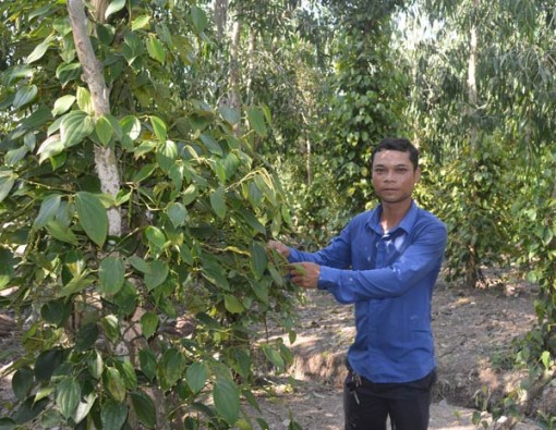 Thành công nhờ làm “chuyện ngược đời”