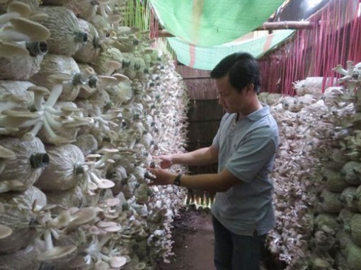 Người trẻ miền Tây khởi nghiệp