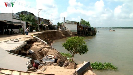 8 căn nhà bị nhấn chìm do sạt lở bờ sông Vàm Cỏ Tây