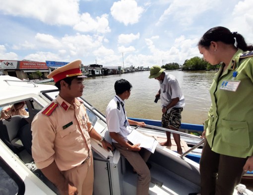 Bảo vệ đàn heo: Cà Mau lập chốt kiểm dịch cả trên bộ lẫn dưới sông