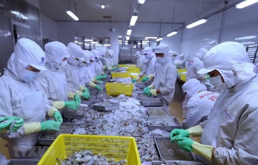 Năm tháng qua, nông nghiệp xuất siêu đạt gần 3,3 tỷ USD