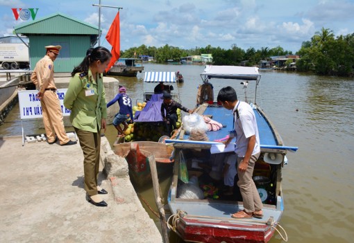 Cà Mau nỗ lực kiểm soát dịch tả lợn Châu Phi lây lan