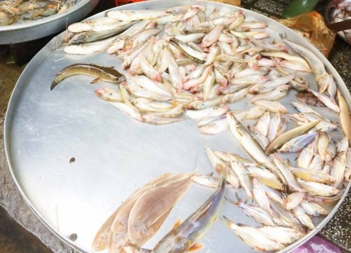 Giá cá chợ tăng mạnh