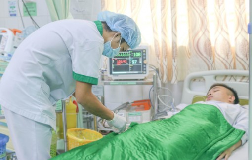 Sóc trăng: 4 người cùng gia đình bị ong rừng đốt nhập viện cấp cứu