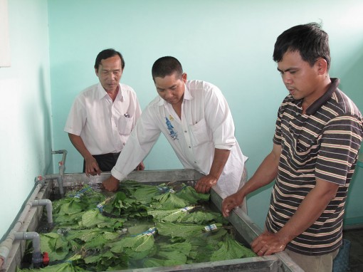 Hiệu quả nguồn vốn hỗ trợ nông dân