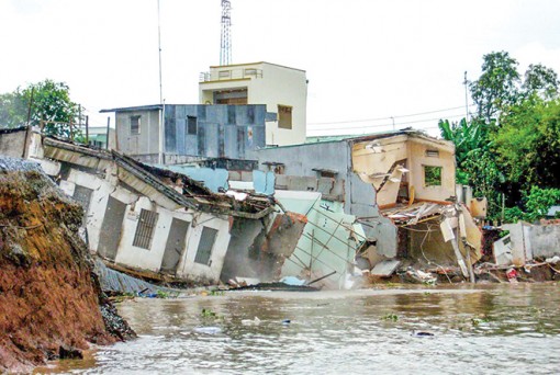 “Mùa chạy lở” ở đồng bằng sông Cửu Long