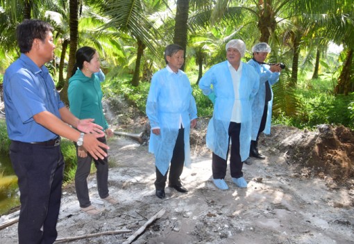 Trà Vinh: Tỉnh thứ 11 ở ĐBSCL xuất hiện dịch tả lợn, Chủ tịch tỉnh chỉ đạo "nóng"