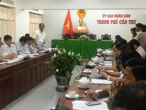 Cần Thơ bàn giải pháp bảo vệ hơn 124.000 con heo trước dịch tả