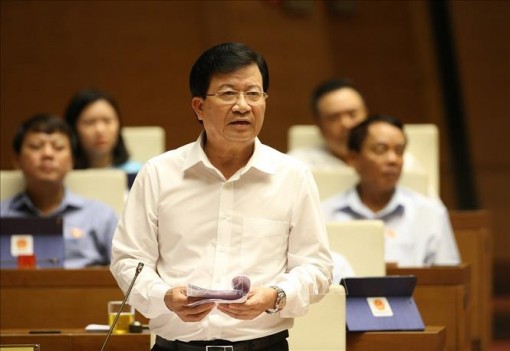 Chấm dứt tình trạng 'phạt cho tồn tại' trong quản lý xây dựng