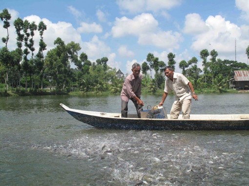 Hàng xuất khẩu, chất lượng giữ vai trò quyết định