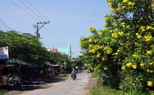 Phú Thạnh nỗ lực giải quyết tiêu chí khó trong xây dựng nông thôn mới