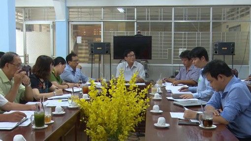 Chợ Mới công bố ổ dịch tả heo Châu Phi