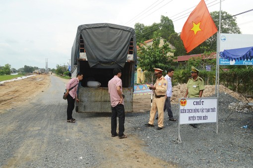 Tích cực phòng, chống dịch tả heo Châu Phi tại khu vực biên giới An Giang