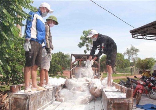 Dịch tả lợn châu Phi vẫn tiếp tục diễn biến phức tạp và lan rộng
