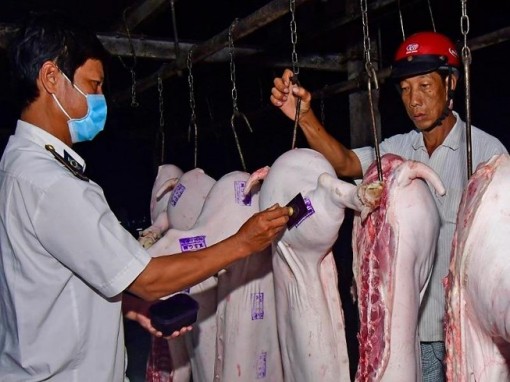 Cà Mau: Nhắc nhở 5 lãnh đạo huyện, xã lơ là với dịch tả heo