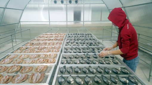 Hiệu quả nhà phơi sấy năng lượng mặt trời, bảo quản nông sản, thực phẩm và thủy sản