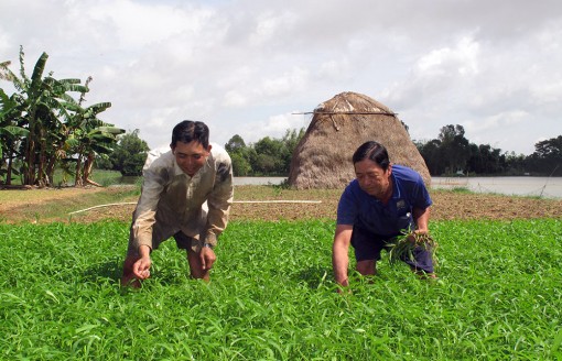 Đẩy mạnh ứng dụng công nghệ cao trong sản xuất nông nghiệp