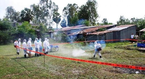 Dịch tả heo châu Phi lan rộng ở ĐBSCL