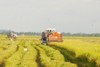 Cách làm hay của Hợp tác xã nông nghiệp Phú Thạnh