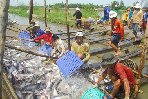 Đột phá về đổi mới tư duy tiếp cận trong ứng phó với BĐKH tại ĐBSCL