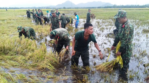 Chủ động phòng, chống thiên tai mùa mưa bão