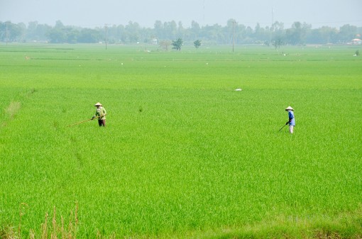 Tăng cường quản lý tài nguyên đất đai