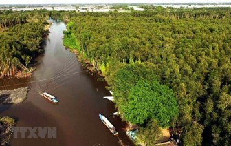 Đồng bằng sông Cửu Long thay đổi gì sau 2 năm 'thuận theo tự nhiên'?
