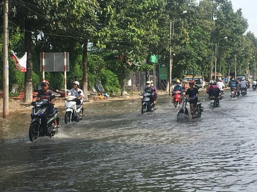 An Giang: Phát triển đô thị và thích ứng biến đổi khí hậu cho Long Xuyên