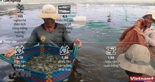 Ngành nông nghiệp xuất khẩu đạt gần 20 tỷ USD