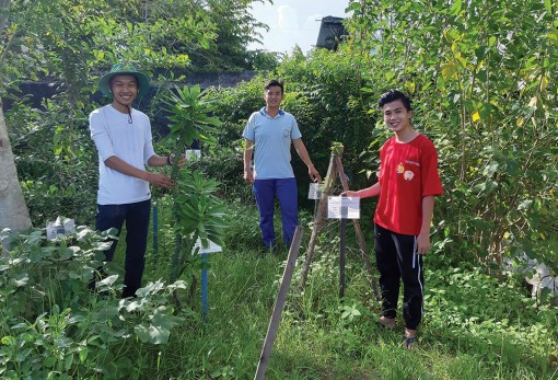 Câu lạc bộ Vườn thuốc nam - hoạt động nhỏ, ý nghĩa lớn