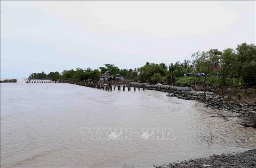 Sóng biển đánh trôi hàng chục km bờ biển Cà Mau