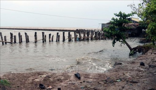 Kiên Giang công bố tình trạng sạt lở đê biển nghiêm trọng