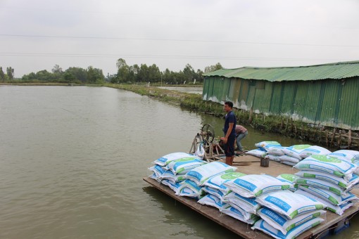 Tập trung đất đai cho sản xuất lớn