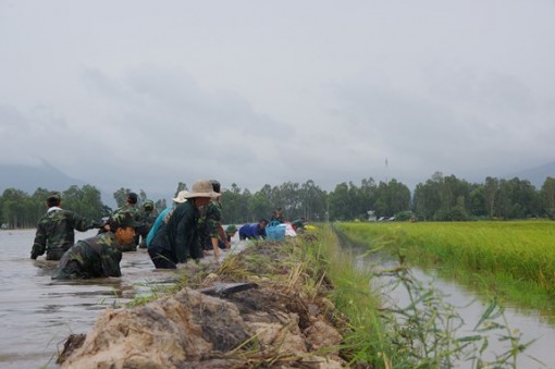 Bộ Chỉ huy Quân sự tỉnh: Hiệp đồng phòng, chống thiên tai và cứu hộ, cứu nạn