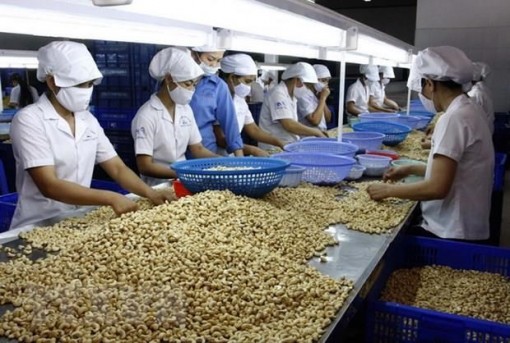 Cơ hội phát triển thương mại tại khu vực Trung Đông-Châu Phi