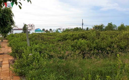 Bắt giám đốc lừa đảo ở Bạc Liêu, có sự tiếp tay của cán bộ