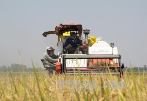 Gỡ 'điểm nghẽn' để phát triển nhanh, bền vững Đồng bằng sông Cửu Long