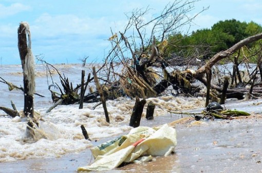 Hiểm họa rác thải nhựa chưa được nhìn thấy ở Cà Mau
