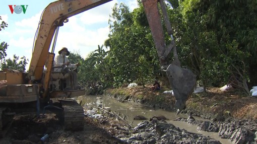 Gian nan phòng chống dịch tả lợn Châu Phi ở Đồng bằng Sông Cửu Long