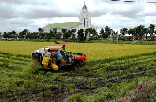 Nông dân chưa “mặn mà” với sản xuất sạch