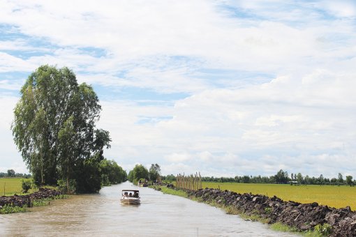 Tập trung ứng phó với thiên tai