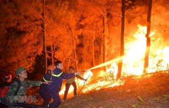 Thủ tướng: Tăng cường biện pháp cấp bách phòng cháy, chữa cháy rừng
