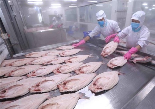 Những mặt hàng chiến lược của Việt Nam xuất khẩu sang châu Âu