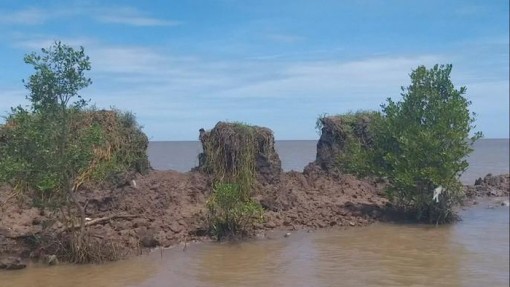 Sạt lở đang 'nuốt' dần ĐBSCL