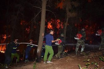 Hà Tĩnh: Đã dập tắt hoàn toàn cháy rừng tại Nghi Xuân
