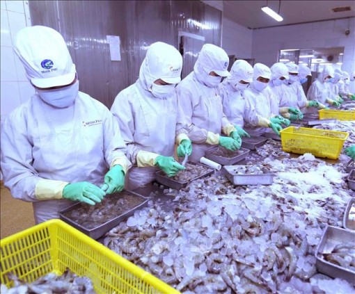 Các nước ASEAN thống nhất hợp tác và phát triển nghề cá