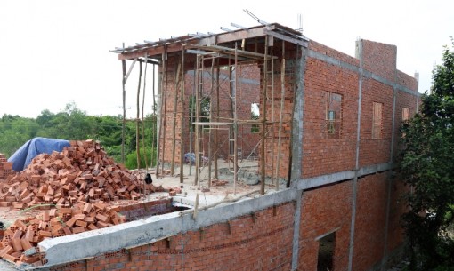 Kiên Giang xử lý triệt để vi phạm trên đất nông, lâm nghiệp