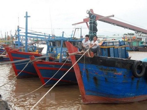 Chủ động ứng phó với áp thấp nhiệt đới có thể mạnh lên thành bão